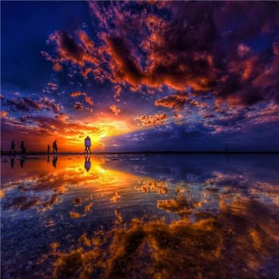 萌幻世界手机版下载